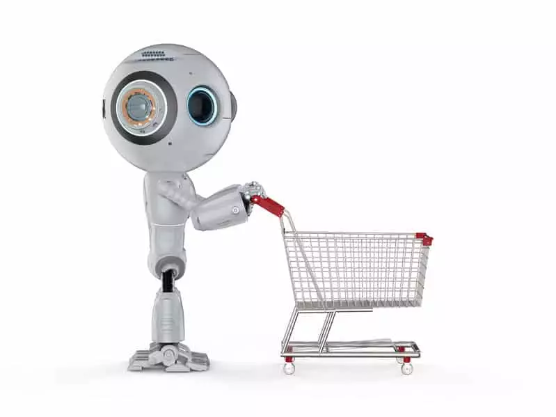 Building an AI System